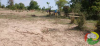 act piquetage waza ngniwa 4
